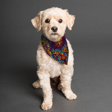 Load image into Gallery viewer, Printed Pet's Scarf
